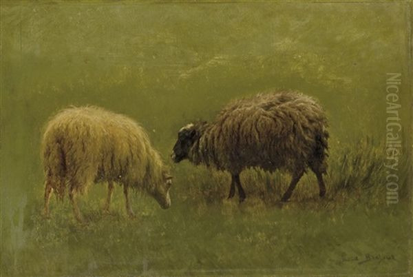 Moutons (study) Oil Painting by Rosa Bonheur