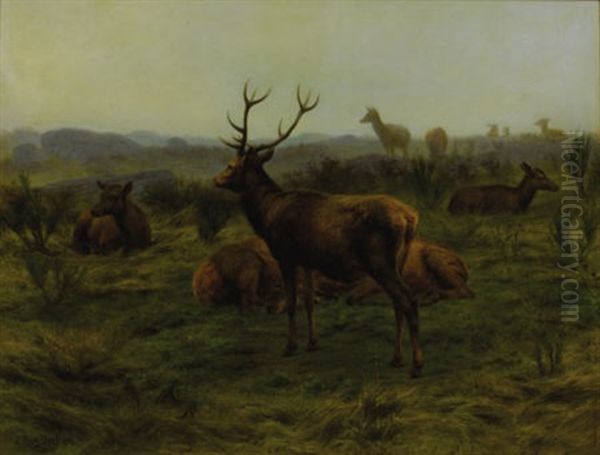 The Monarch Of The Herd Oil Painting by Rosa Bonheur