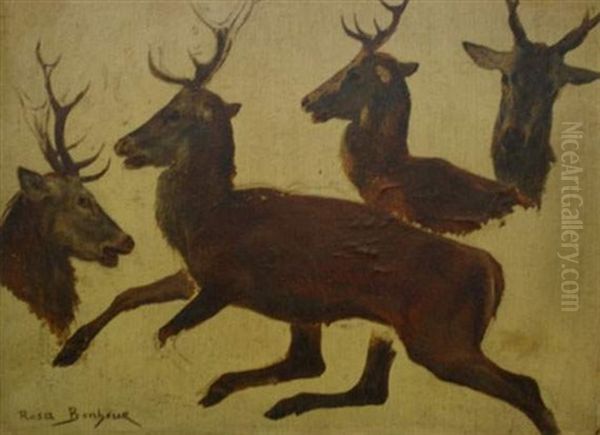 Sans Titre Oil Painting by Rosa Bonheur