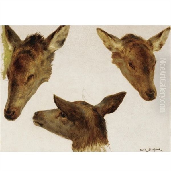 Deer Heads (studies) Oil Painting by Rosa Bonheur