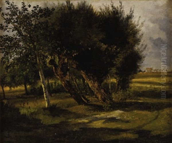 Trees And Lane Oil Painting by Rosa Bonheur