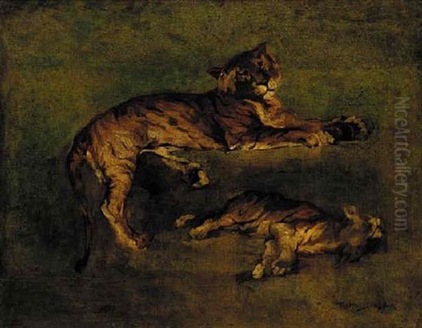 Tiger Studies Oil Painting by Rosa Bonheur