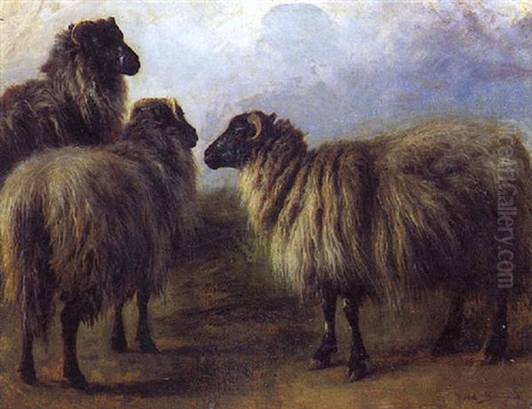 Moutons Ecossais Oil Painting by Rosa Bonheur