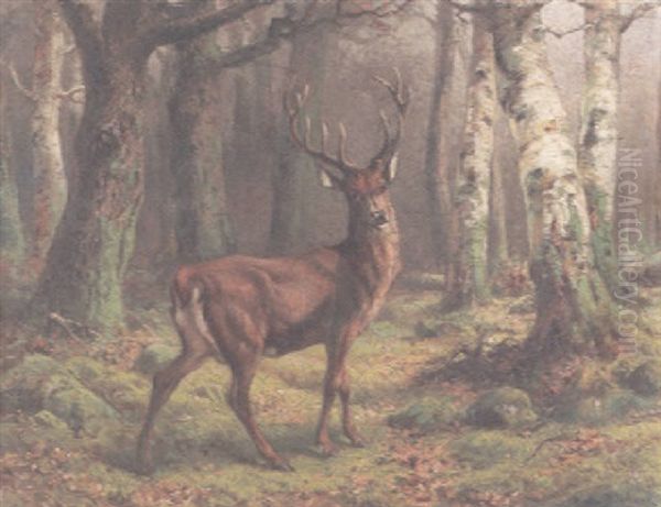 A Deer In The Forest Oil Painting by Rosa Bonheur