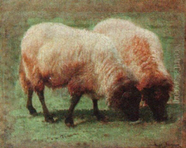 Two Grazing Sheep Oil Painting by Rosa Bonheur