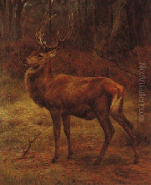 Dans Le Foret. Le Matin Oil Painting by Rosa Bonheur