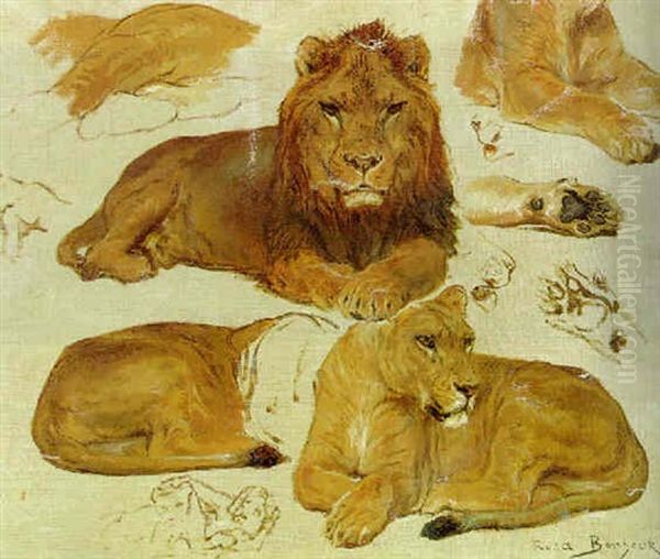 A Study Of Lions Oil Painting by Rosa Bonheur