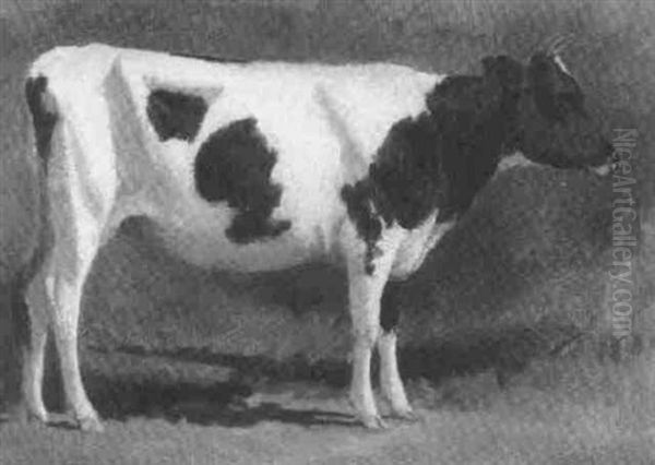 Study For A Cow Oil Painting by Rosa Bonheur