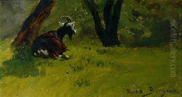 A Goat Resting In A Meadow Oil Painting by Rosa Bonheur