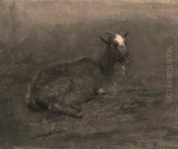 Ruhende Ziege Oil Painting by Rosa Bonheur