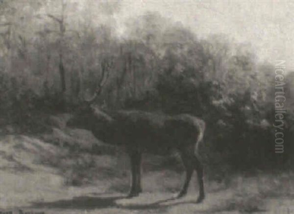 Stag In A Landscape Oil Painting by Rosa Bonheur