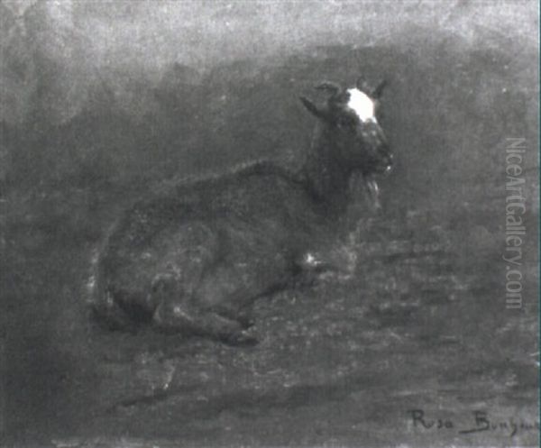 Ruhende Ziege Oil Painting by Rosa Bonheur