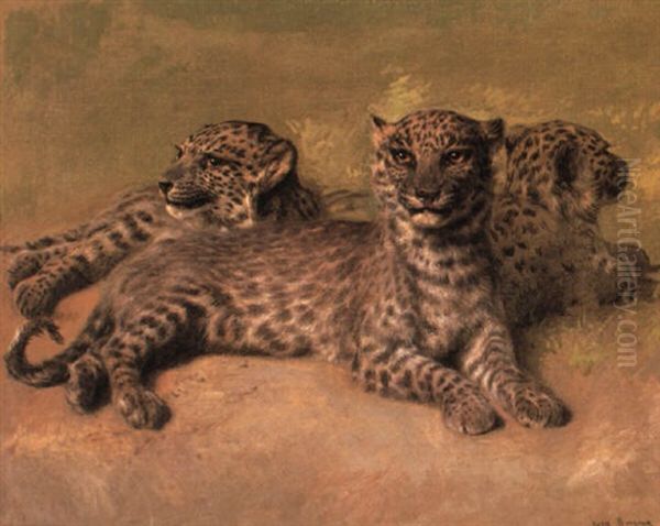 Persian Leopards Oil Painting by Rosa Bonheur