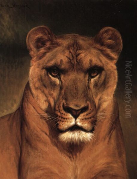 Head Of A Lioness Oil Painting by Rosa Bonheur