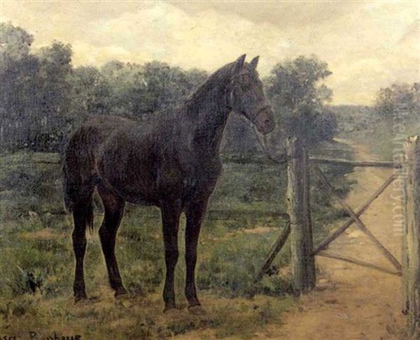 Cheval Noir Dans Un Pre Oil Painting by Rosa Bonheur