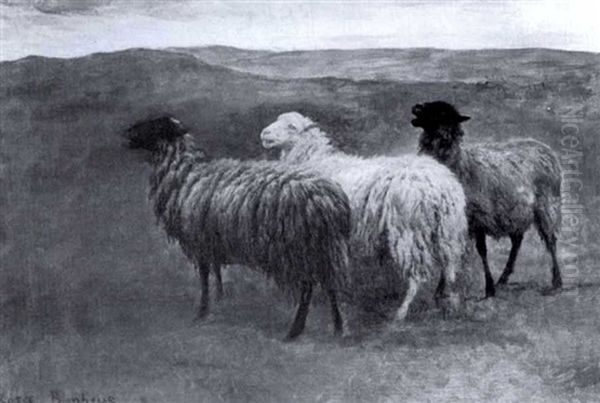 Moutons Oil Painting by Rosa Bonheur