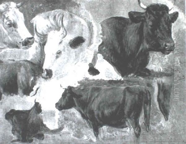 Studies Of Cattle Oil Painting by Rosa Bonheur