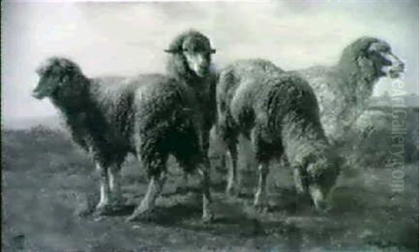 Moutons by Rosa Bonheur