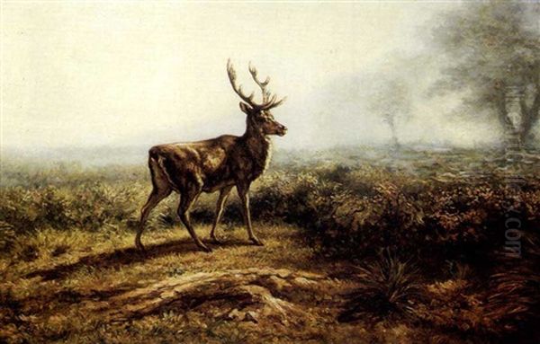 Le Cerf, Effet Du Matin Oil Painting by Rosa Bonheur