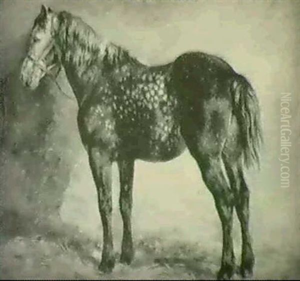 Study Of A Dark Dapple-grey Oil Painting by Rosa Bonheur