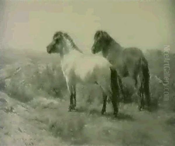 Highland Ponies Oil Painting by Rosa Bonheur