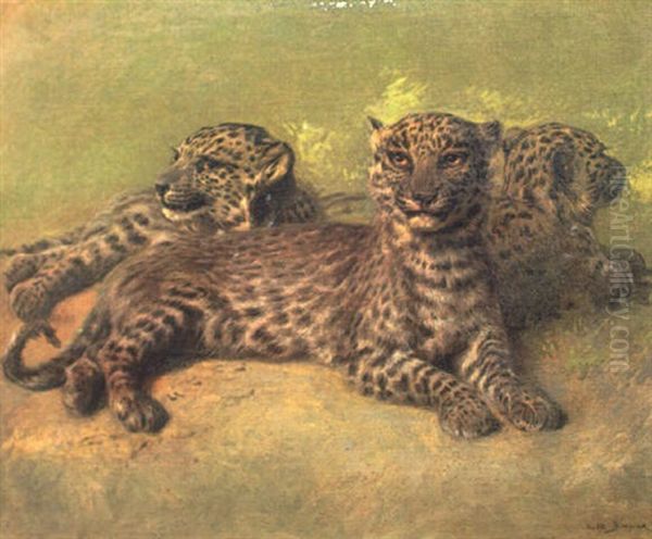 Persian Leopards Oil Painting by Rosa Bonheur