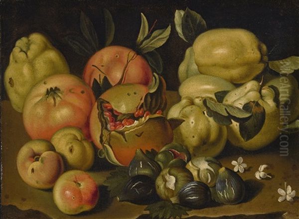 Still Life With Apples, Pomegranates, Quinces. Figs And Jasmine Oil Painting by Pietro Paolo Bonzi