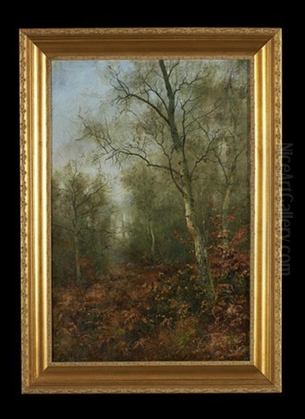 The Silver Birches Oil Painting by Walter Boodle