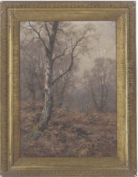 A Silver Birch In An Autumnal Wood Oil Painting by Walter Boodle