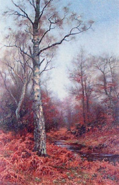 Autumnal Woodland Scene With Stag Oil Painting by Walter Boodle