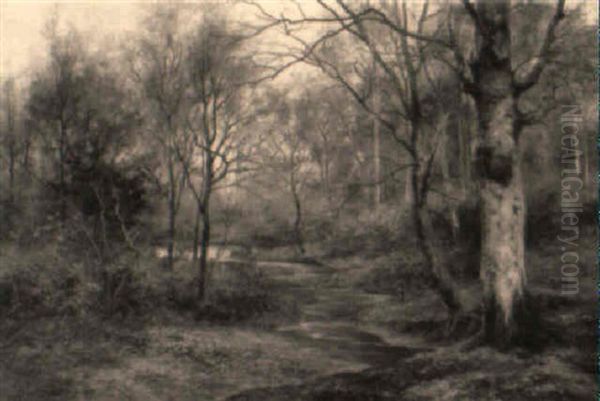 A March Morning In The Woods by Walter Boodle