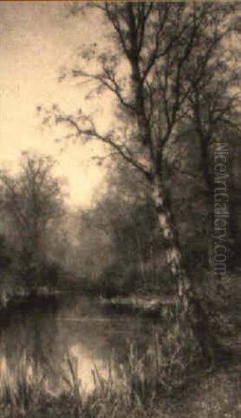 Winter River Landscape With A Silver Birch In Foreground Oil Painting by Walter Boodle