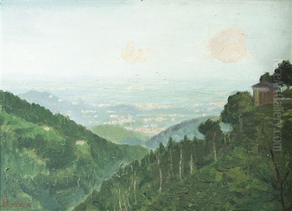 Panorama Da Oropa Oil Painting by Piero Bora