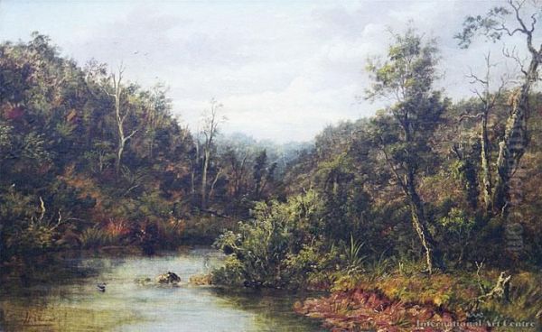 Waitakere Creek Oil Painting by Albert Edward Aldis