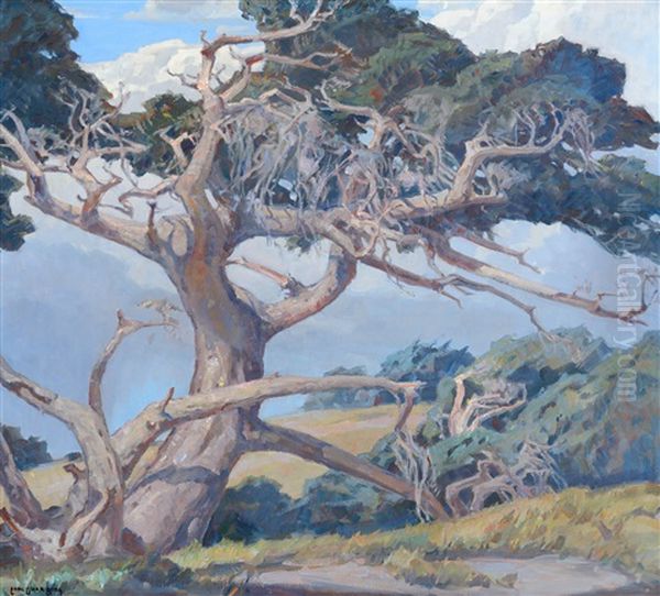 Monterey Cypress Oil Painting by Carl Oscar Borg