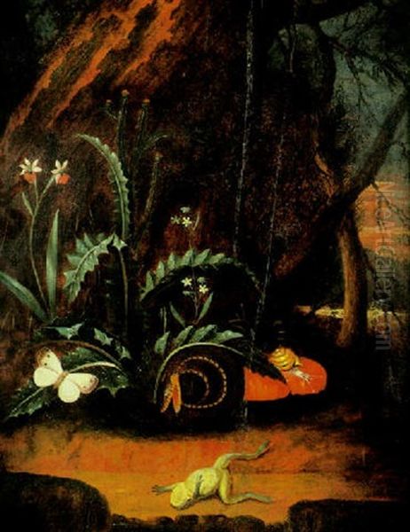 Nature Morte Au Serpent Et A La Grenouille Oil Painting by Anthonie Van Borssom