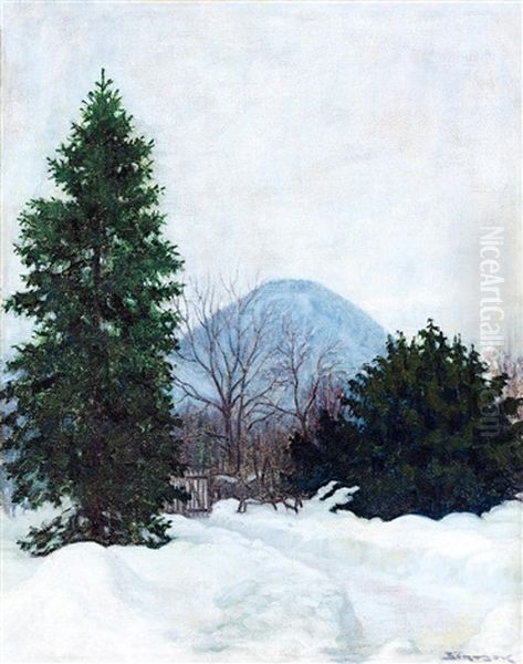 Winter Iin Nagybanya Oil Painting by Samu Boertsoek