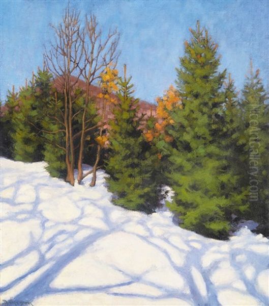 Winter Sunlight Oil Painting by Samu Boertsoek