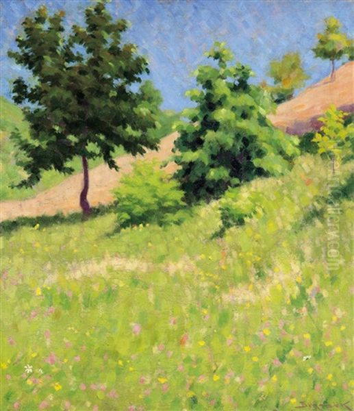 Hillside With Flowers Oil Painting by Samu Boertsoek