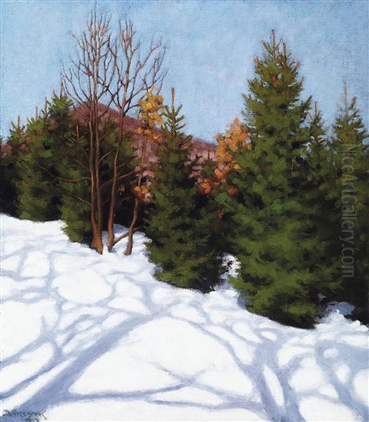 Winter Sunshine Oil Painting by Samu Boertsoek