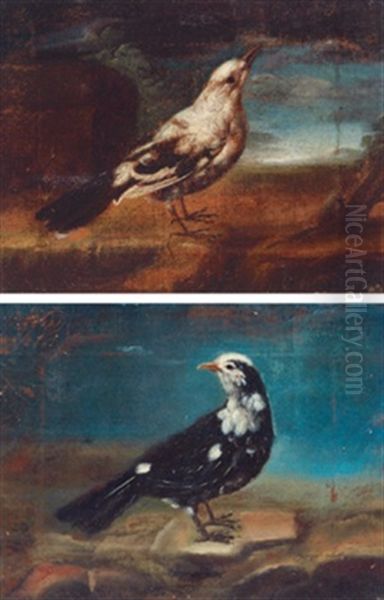 Vogel (+ Another Similar; Pair) Oil Painting by Felice Boselli