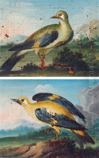 Vogel (+ Another Similar; Pair) Oil Painting by Felice Boselli