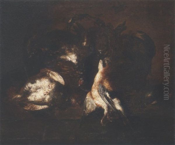 Still Life Of A Jay And A Partridge Beside A Wicker Basket, Upon A Stone Ledge Oil Painting by Felice Boselli