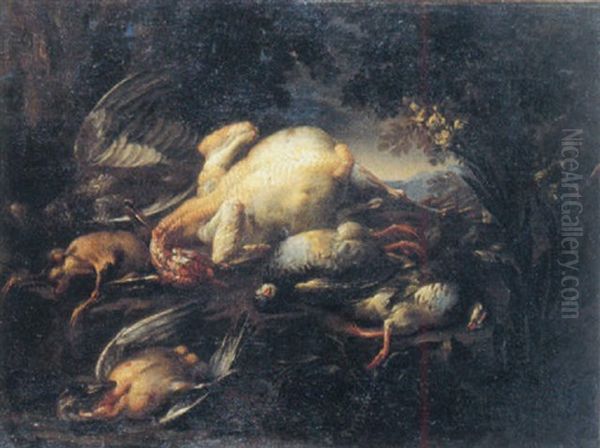 Nature Morte Aux Perdreaux, Dinde, Canard Et Faisan Oil Painting by Felice Boselli