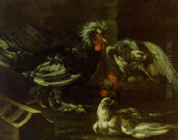 Pigeons And Poultry In A Yard Oil Painting by Felice Boselli