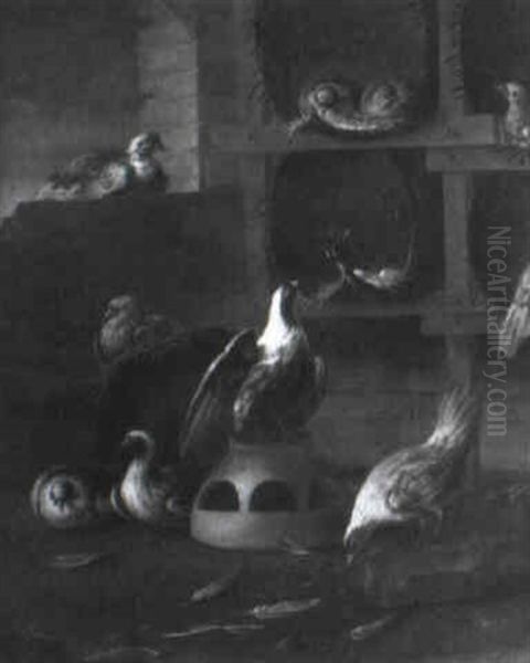 Pigeons In A Loft Oil Painting by Felice Boselli