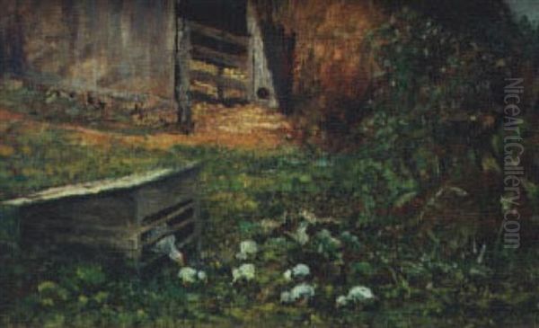 Chickens In Barnyard Oil Painting by Robert Ward Van Boskerck