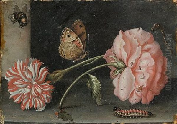 A Pink Rose And A Red And White Carnation On A Stone Ledge With A Bee, A Butterfly, A Dragonfly And A Caterpillar Oil Painting by Abraham Bosschaert