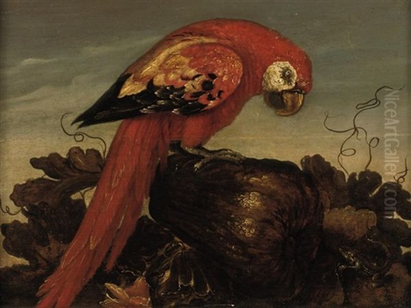 A Parrot Sitting On A Large Vegetable, Eyeing A Small Lizard In The Foreground Oil Painting by Abraham Bosschaert