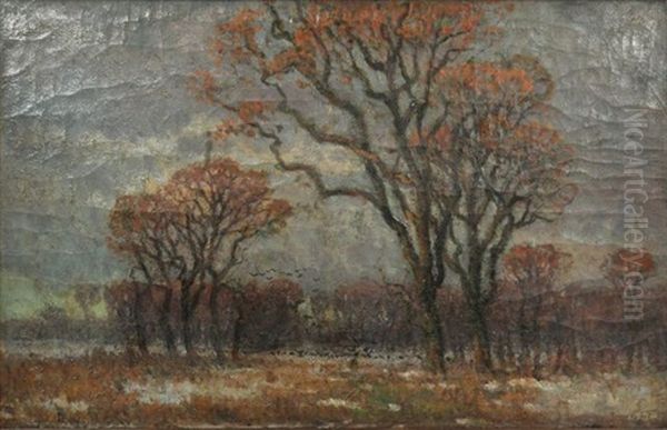 Landscape With Trees Oil Painting by Istvan Bosznay